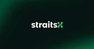 StraitsX Singapore Dollar (XSGD)