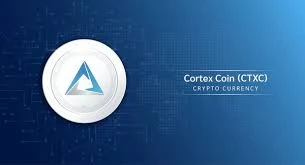 Cortex