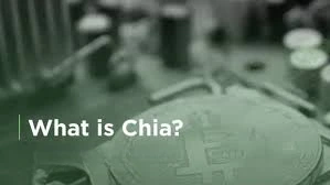 Chia Coin