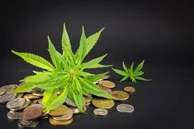 CannabisCoin