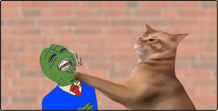 Catslap