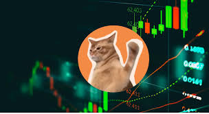 Catslap