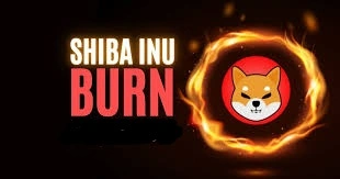 Shiba Inu Burn