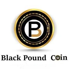 Black Pound Coin