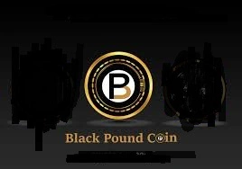 Black Pound Coin