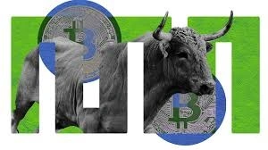Coinbull
