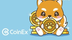 How to Buy Dogecoin on CoinEx