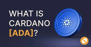 What is Cardano