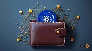 Where to Store Cardano Coin