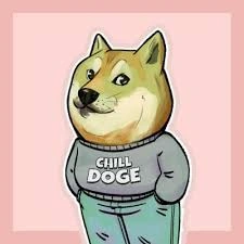 Just a Chill Doge