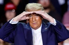 How to Get Trump Meme Coin