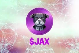 JAXInu