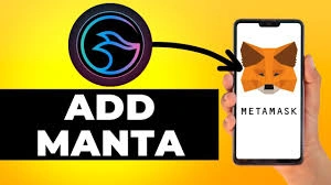 How to Add Manta Network to MetaMask