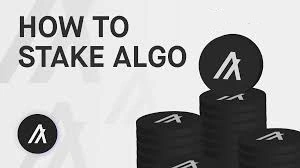 How to Stake Algorand