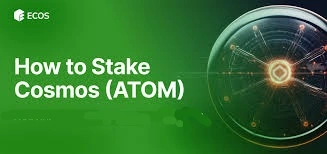 Where to Stake ATOM Cosmos