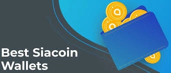 Where to Store Siacoin