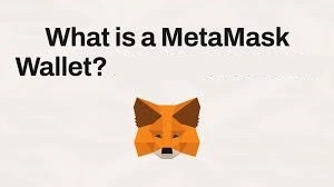 What is MetaMask Wallet