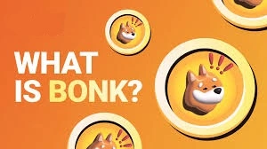 What is Bonk Coin