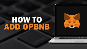 How to Add opBNB to MetaMask