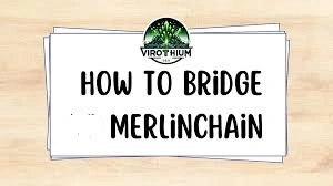 How to Bridge to Merlin Chain, Merlin Chain, Bridge