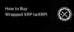 How to Buy Wrapped XRP