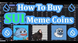 How to Buy Sui Meme Coin