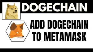 How to Add Dogechain to MetaMask