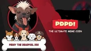 Peggy The Dead Pool DOG