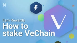 How to Stake VeChain