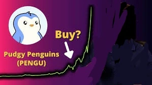 Where to Buy Pudgy Penguins