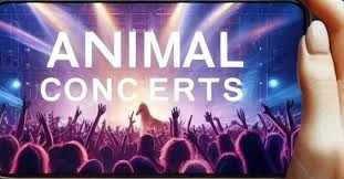 Animal Concerts
