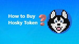 How to Buy Hosky Token