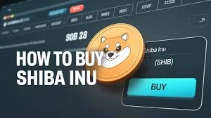 How to Buy SHIB on Bitrue