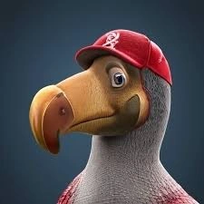 Dodo 