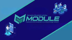 MODULE 