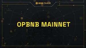 How to Get opBNB Mainnet