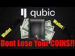 Where to Store Qubic Crypto