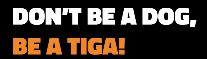 TIGA Coin