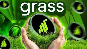 Grass