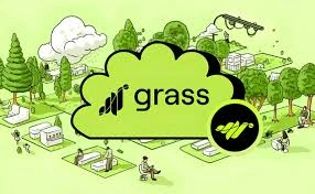 Grass