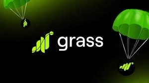 Grass