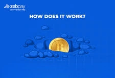 How Does ZebPay Work