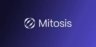 Mitosis, MITO, Programmable Cross-Chain Liquidity, Cross-Chain Liquidity