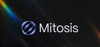 Mitosis 