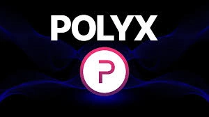 Polymesh 