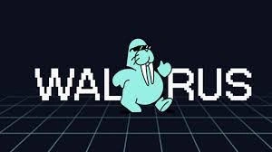 Walrus