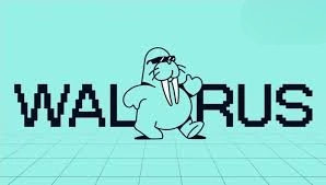 Walrus