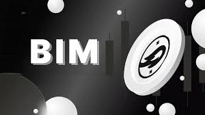 BIM Finance