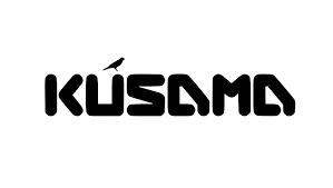 Kusama, KSM, Web3’s Untamed Frontier, Polkadot’s Network