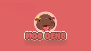 Moo Deng